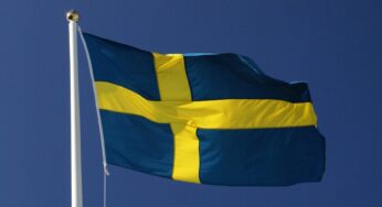 Some Things to Consider When Searching for Swedish Linguists