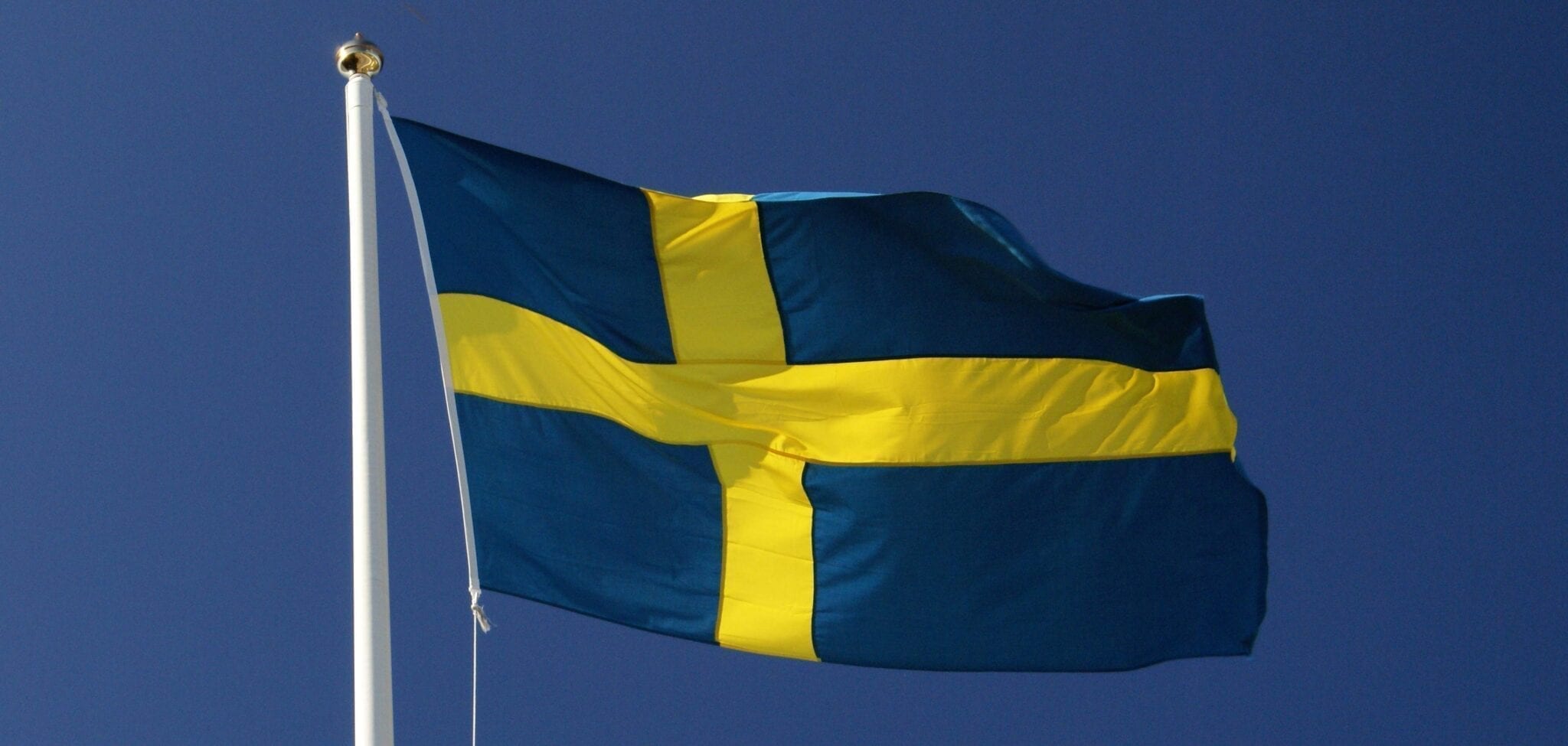 Swedish linguists