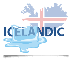 professional Icelandic linguists