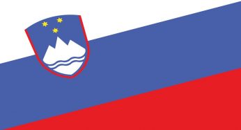 What is the Process of a Slovenian Translation?