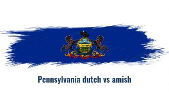 The Pennsylvania Dutch vs Amish: What Is The Difference?