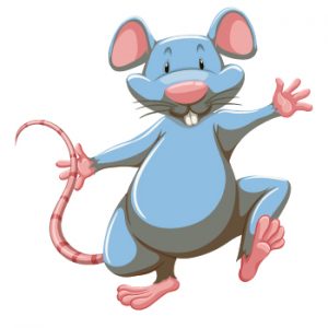 flemish giant rat flemish giant rat