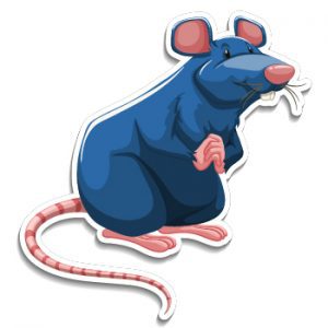 giant rat giant rat